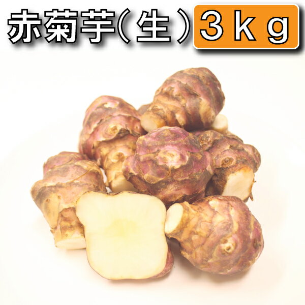 熊本県産 菊芋の粉末 100g ｜ 菊芋パウダー 菊芋粉末 ｜キクイモの イヌリン ｜無農薬 無農薬栽培 ｜ 食物繊維 不溶性食物繊維 ｜ 粉末 国産 ｜菊芋100％ ｜直送★