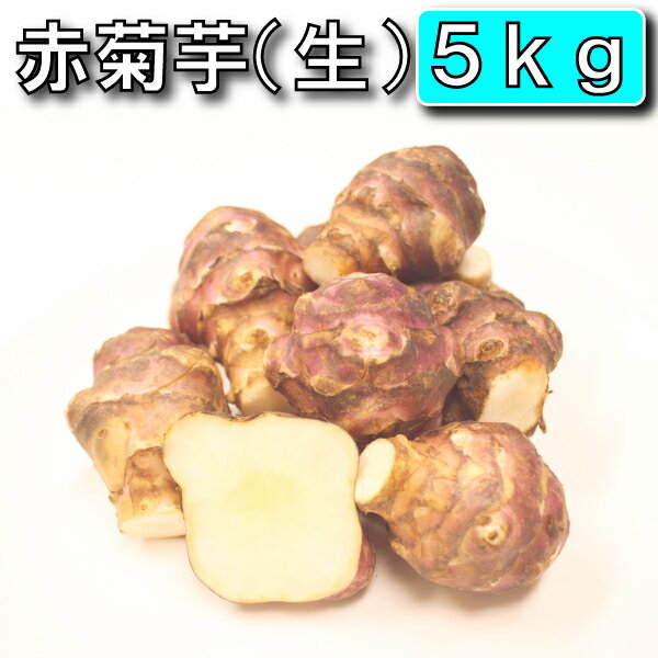 今話題の菊芋 5kg （北海道産 遠別産 無農薬 化学肥料不使用 生 土付き 赤菊芋 健康 イヌリン 水溶性食物繊維 短鎖脂肪酸 血糖値　世界三大健康野菜　低カロリー ダイエット 美容 原産地の緯度に近い良好な育成環境）