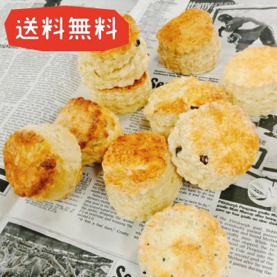 送料無料 スコーン バラエティー 10個セット きくぱん 手作り 人気 セット