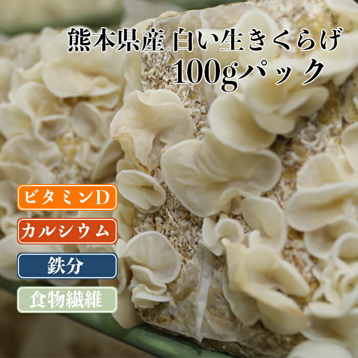 【白い生きくらげ 100g】 熊本県産　人吉　きのこ　キノコ