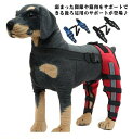 犬用 犬 左右セット 膝 関節プロテクター 用 関節プロテクター 後ろ足 用 膝 サポーター 後足関節保護 ペア 固定 サポーター