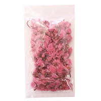 桜の花塩漬け 100g / 桜茶 春 メール便対応可能