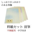 ≪本日ポイント5倍≫ 書道 かな 料紙 半懐紙 仮名料紙セット 『清筆』 半懐紙判 5種×各10枚(50枚入り) 中字かな向き 仮名 かな 料紙 上品 かな料紙...
