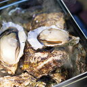 母の日 グルメ 2025 広島牡蠣のカンカン焼き H-KY16おすすめ 料理 グルメ 食べ物 お返し 御礼 感謝 上司 お祝い 御 景品 品物 新築祝い 結婚内...