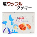 クッキー ワッフルクッキー 塩 チョコクリーム 塩チョコ 塩ワッフルクッキー 12個