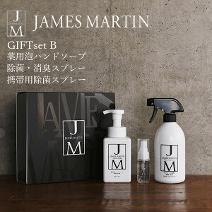 ハンドソープ 薬用 JAMES MARTIN ギフトセットB ジェームズマーティン ジェームスマーティン 除菌 手洗い 国産 GIFT SET コロナ対策除菌 手洗い 国産 GIFT SET コロナ対策