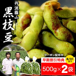 2023 販売開始【送料無料 数量限定】丹波篠山 黒枝豆 ＜ 枝豆 500g × 2袋 ＞ h-2 もっちり 大粒 丹波 黒豆 枝豆 丹波黒 黒大豆 濃厚 うまい 美味しい ！ （さやのみだから調理が楽） 旬 おすすめ ご当地 お取り寄せ グルメ 通に人気