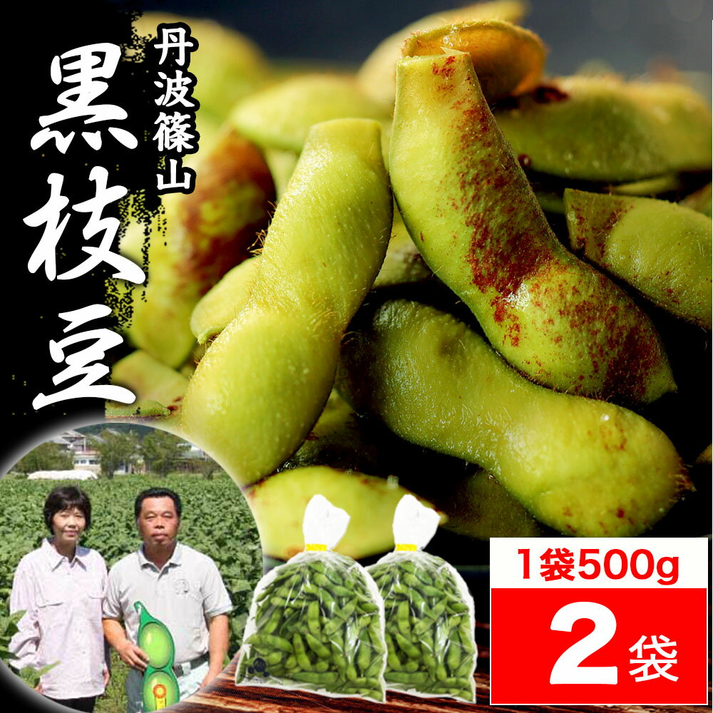 2023 販売開始【送料無料 数量限定】丹波篠山 黒枝豆 ＜ 枝豆 500g × 2袋 ＞ h-2 もっちり 大粒 丹波 黒豆 枝豆 丹波黒 黒大豆 濃厚 うまい 美味しい ！ （さやのみだから調理が楽） 旬 おすすめ ご当地 お取り寄せ グルメ 通に人気のサムネイル