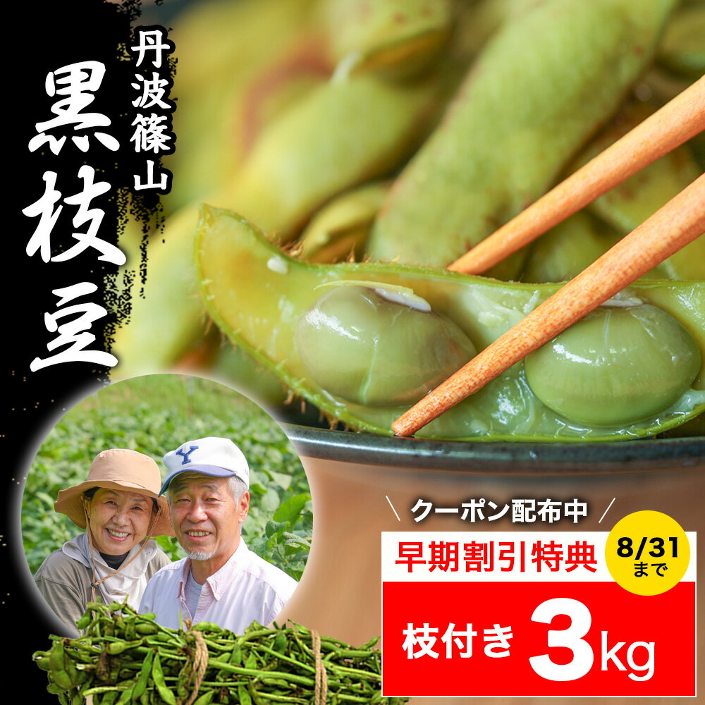 2023 販売開始【送料無料 数量限定】丹波篠山 黒枝豆 ＜ 枝豆 3kg （ 枝付き ） ＞ y-e3 もっちり 大粒 丹波 黒豆 枝豆 丹波黒 黒大豆 濃厚 うまい 美味しい 枝付き枝豆 旬 おすすめ ご当地 お取り寄せ グルメ 通に人気 ご当地 産地 直送