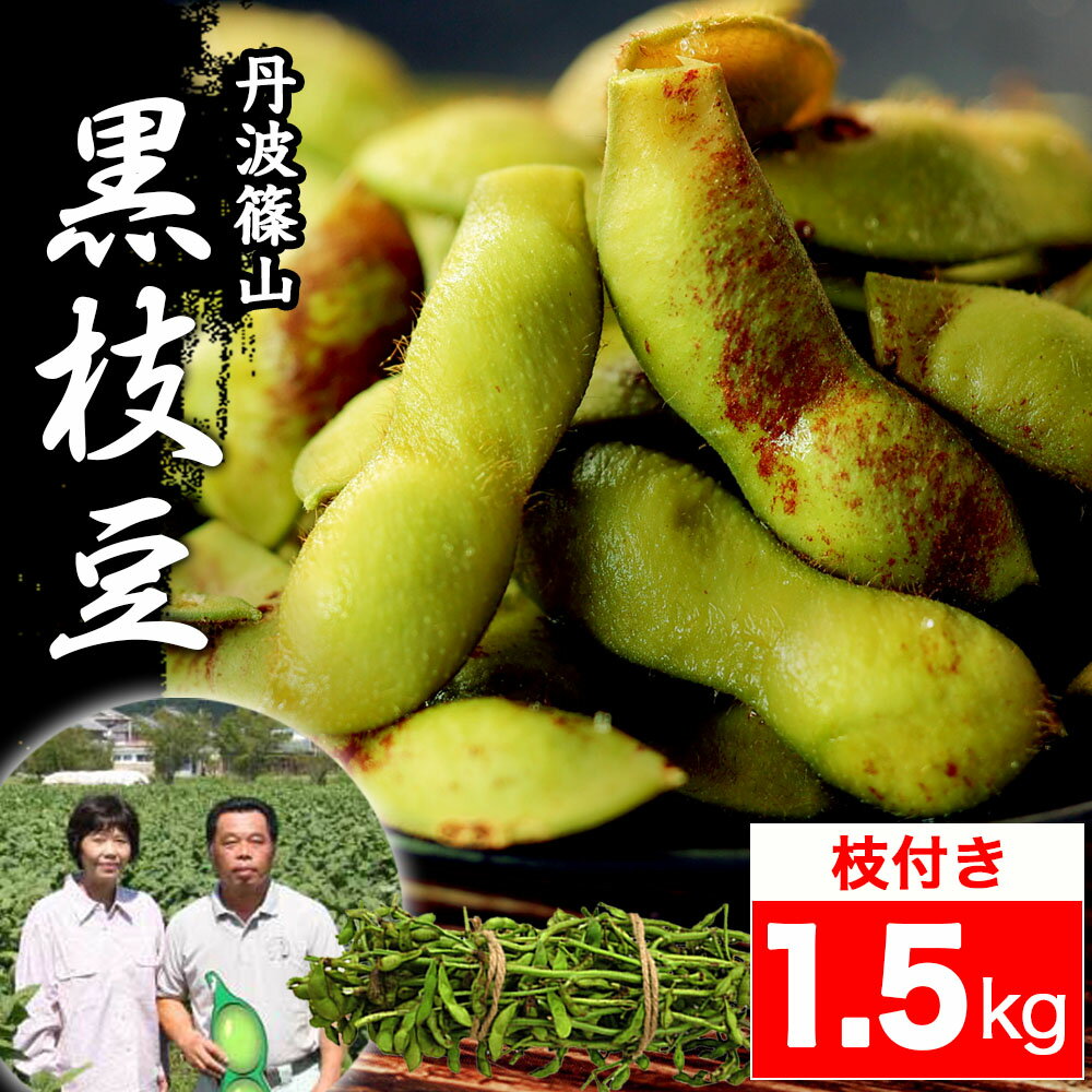 2023 販売開始【送料無料 数量限定】丹波篠山 黒枝豆 ＜ 枝豆 1.5kg （ 枝付き ） ＞ h-e1.5 もっちり 大粒 丹波 黒豆 枝豆 丹波黒 黒大豆 濃厚 うまい 美味しい ！ （ 枝付き枝豆 ） 旬 おすすめ ご当地 お取り寄せ グルメ 通に人気のサムネイル