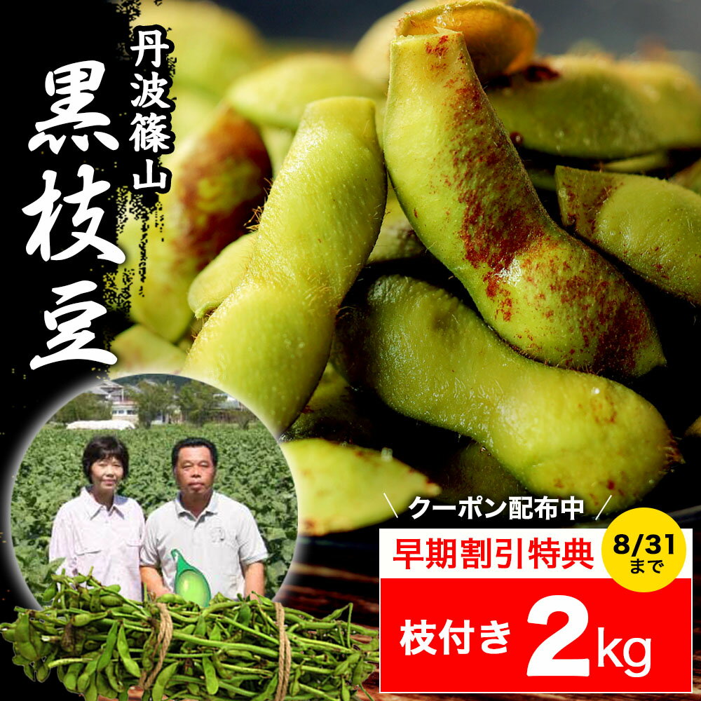 2023 販売開始【送料無料 数量限定】丹波篠山 黒枝豆 ＜ 枝豆 2kg （ 枝付き ） ＞ h-e2 もっちり 大粒 丹波 黒豆 枝豆 丹波黒 黒大豆 濃厚 うまい 美味しい ！ （ 枝付き枝豆 ） 旬 おすすめ ご当地 お取り寄せ グルメ 通に人気