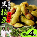 【枝豆 えだまめ 黒枝豆】丹波篠山 本場 黒枝豆 令和7年産 丹波取り寄せ 予約販売 【送料無料 数量限定】 < 枝豆( 枝付き ) > 4kg大粒 丹波 黒豆 枝豆 丹波黒 黒大豆 旬 ご当地 お取り寄せ グルメ