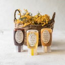 母の日 MYHONEYチューブボトル3点セット 蜂蜜 ハチミツ はちみつ ハニー 健康 健康食品 女性 おいしい 甘い あまい おすすめ 人気