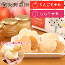 母の日 遅れてごめんね ギフト りんごモナカボックス ももモナカボックス 詰め合わせ フルーツ 朝食 内祝い 祝い フルーツ 大野農園 おしゃれ かわいい 出産...