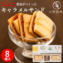 母の日 遅れてごめんね ギフト りんごキャラメルサンドボックス 詰め合わせ フルーツ 朝食 内祝い 祝い フルーツ 大野農園 おしゃれ かわいい 出産内祝い 結...