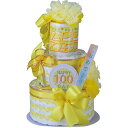 おむつdeケーキ 100DAY MEMORY 2段 25-004-100DAY 香典返し 御供 粗供養 詰め合わせ ギフト プレゼント 割引 景品 品物 新築祝...