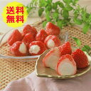 【送料無料 】 ハーゲンダッツ&苺アイス < 4種 計22個 > S-HDR4種 計22個 アイスクリーム アイス 美味しい おいしい グルメ 産直 スイーツ ...