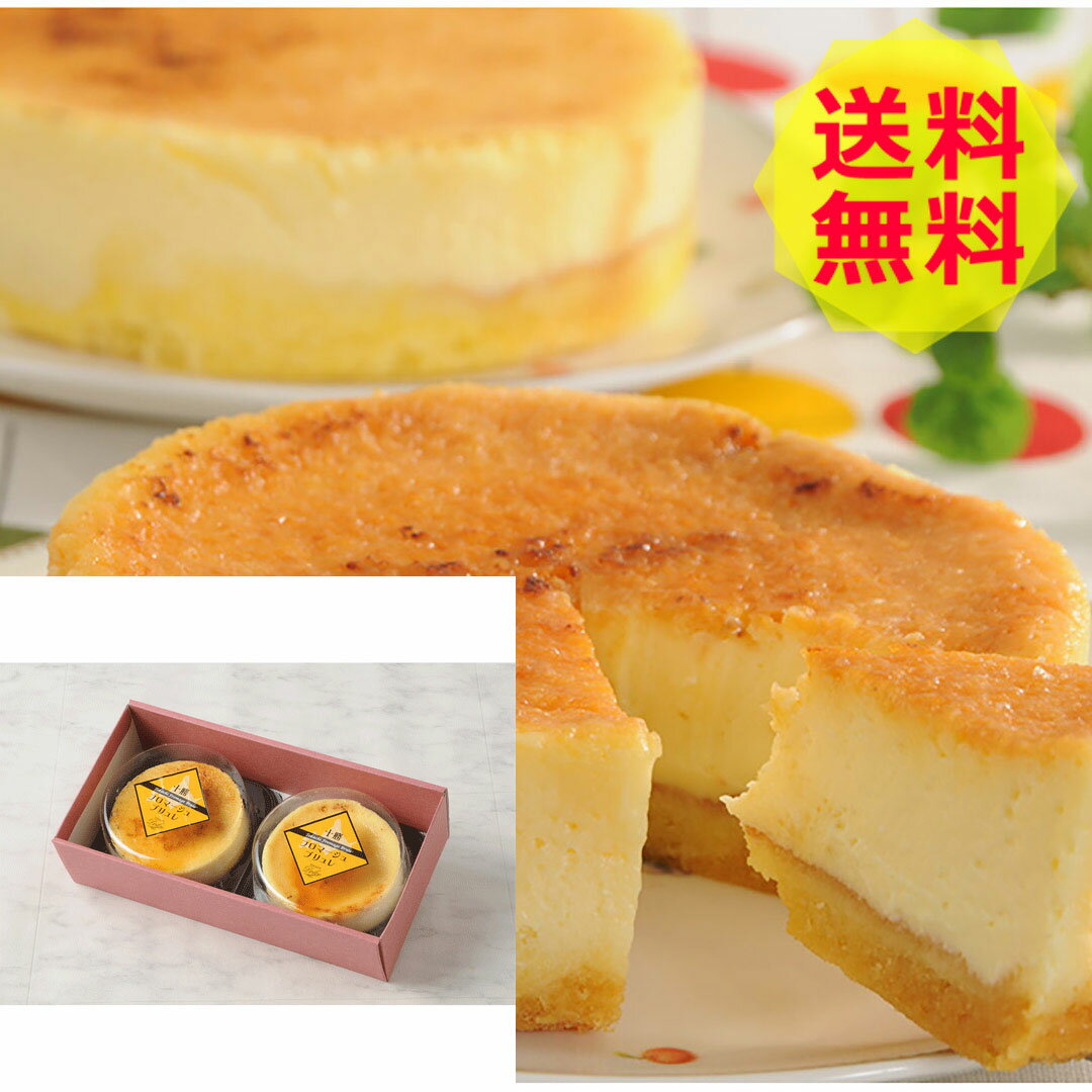 【送料無料 】 北海道 北海道 十勝フロマージュブリュレ DCTF4 美味しい おいしい グルメ 産直 ギフト