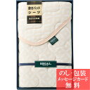 リーガル シンカーパイル敷パット / 香典返し 品物 粗供養 詰め合わせ ギフト 割引 結婚内祝い 出産内祝い ご挨拶 引っ越し 引越し 内祝い 写真入り メッ...
