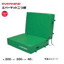 【法人限定】エバーマット 二つ折 幅200×長さ300×厚さ40cm エバニュー EVERNEW 陸上 体操 セーフティマット 体操マット 陸上競技用マットマッ...