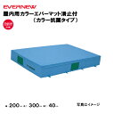 【法人限定】エバーマット 滑止付 屋内用 カラー抗菌タイプ 幅200×長さ300×厚さ40cm エバニュー EVERNEW 陸上 体操 カラーエバーマット 教育...