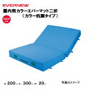 【法人限定】エバーマット 屋内用 二つ折 幅200×長さ300×厚さ20cm エバニュー EVERNEW 側面メッシュ空気孔付 ウレタンマット陸上 体操 屋内カ...