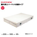 【法人限定】エバーマット 屋内用 一枚物 幅200×長さ300×厚さ30cm エバニュー EVERNEW 陸上 体操 抗菌屋内エバーマット 教育施設 体操教室 ...