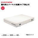 【法人限定】エバーマット 屋内用 滑止付 抗菌タイプ 幅200×長さ300×厚さ40cm エバニュー EVERNEW 陸上 体操 抗菌 屋内エバーマット 滑止 ...