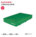【法人限定】エバーマット 一枚物 ソフトメッシュマット 幅200×長さ300×厚さ50cm エバニュー EVERNEW 陸上 体操 スーパーソフトウレタン マッ...