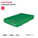 【法人限定】エバーマット 一枚物 ソフトメッシュマット 幅200×長さ300×厚さ60cm エバニュー EVERNEW 陸上 体操 スーパーソフトウレタン マッ...