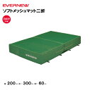 【法人限定】エバーマット エバニュー ソフトメッシュマット二折 幅200×長さ300×厚さ60cm EVERNEW 陸上 体操 スーパーソフトウレタン マット ...