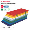【法人限定】体操カラーマット すべり止付 幅120×長さ300×厚さ5cm 抗菌 防臭加工 エバニュー EVERNEW 体操 体育 学校 日本教材備品協会安全基...