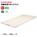 【法人限定】体操マット エバニュー 抗菌合成スポンジマット 9号帆布 幅150×長さ300×厚さ5cm エバニュー EVERNEW 体操マット 体育 学校 体育...
