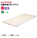 【法人限定】体操マット エバニュー 抗菌合成スポンジマット 6号帆布 幅150cm×長さ300cm×厚さ6cm エバニュー EVERNEW 体操マット 体育 学...