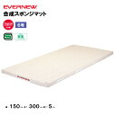 【法人限定】体操マット 合成スポンジマット 幅150×長さ300×厚さ5cm 6号帆布エバニュー EVERNEW 体操マット 体育 学校 日本教材備品協会安全基...