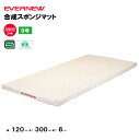 【法人限定】体操マット 合成スポンジマット 幅120×長さ300×厚さ6cm 9号帆布 エバニュー EVERNEW 体操マット 体育 学校 日本教材備品協会安全...