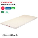 【法人限定】体操マット 合成スポンジマット 滑止付 幅160×長さ300×厚さ6cm 9号帆布 エバニュー EVERNEW 体操マット 体育 学校 日本教材備品...