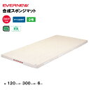 【法人限定】体操マット 合成スポンジマット 滑止付 幅120×長さ300×厚さ6cm 9号帆布 エバニュー EVERNEW 体操マット 体育 学校 日本教材備品...