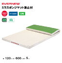 【法人限定】体操マット ミラスポンジマット 滑止付 幅120×長さ600×厚さ5cm エバニュー EVERNEW 体操マット 9号帆布 SG仕様品 日本教材備品協会安全基準適合品 体育 学校 体育施設 体操教室 体育用品 EKM474(4)