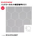 【法人限定】フットサル・ハンドゴールネット EVERNEW エバニュー 検定亀甲H101 2枚1組 学校 体育 授業EKE830
