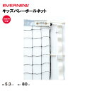 【法人限定】キッズバレーボールネット EVERNEW エバニュー バレーボール EKU123