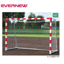 【法人限定】ハンドゴールスチール(SG仕様) エバニュー EVERNEW ゴール 2台1組 ネット別売 スポーツ施設 教育施設 体操教室 学校 部活 日本製 E...
