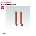 【法人限定】支柱用埋筒スチール EVERNEW テニス 支柱用 スポーツ施設 教育施設 体操クラブ 体操教室 学校 日本製 EKE806