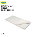 マットカバー 9号帆布 120×300×5 体操マットカバー マット用カバー三和体育 SANWA TAIKU 体操マットケース 学校 体育館 教育施設 総合体育...