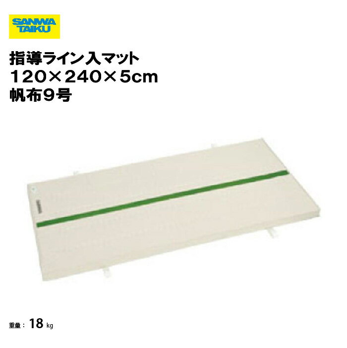 指導ライン入マット 120×240×5cm 帆布9号 体操 体育 学校 体育用具 教育施設 体操教室 スポーツ施設 三和体育 SANWA TAIKU S-9616