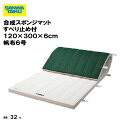 体操マット 教育用マット 体操 授業 学校 幼稚園 保育園 施設 三和体育 SANWA TAIKU 合成スポンジマットすべり止め付 120×300×6cm 帆布...