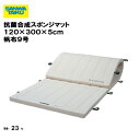 体操マット 教育用マット 体操 授業 学校 幼稚園 保育園 施設 三和体育 SANWA TAIKU 抗菌合成スポンジマット 120×300×5cm 帆布9号 S...
