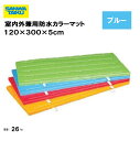 体操マット 教育用マット 体操 授業 学校 幼稚園 保育園 施設 三和体育 SANWA TAIKU 室内外兼用防水カラーマット 120×300×5cm ブルー ...