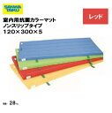 体操マット 教育用マット 体操 授業 学校 幼稚園 保育園 施設 三和体育 SANWA TAIKU 室内用抗菌カラーマットノンスリップタイプ 120×300×5 レッド S-9863(4)