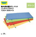 体操マット 教育用マット 体操 授業 学校 幼稚園 保育園 施設 三和体育 SANWA TAIKU 室内用抗菌カラーマットノンスリップタイプ 120×300×5...